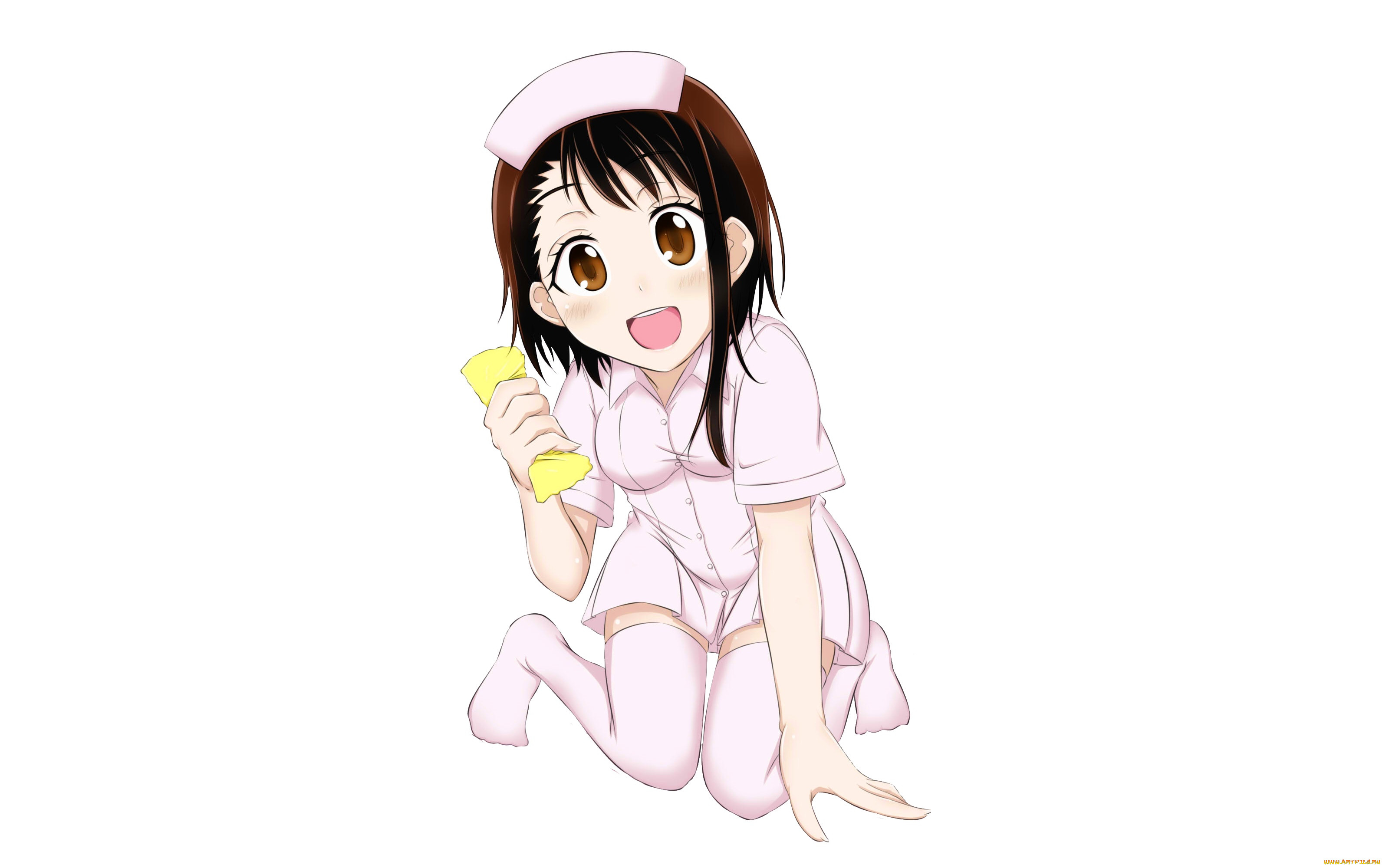 , nisekoi, , , 